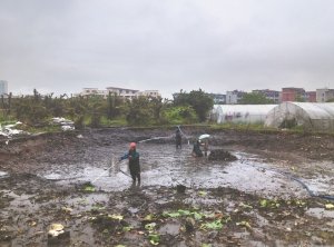 大足河道鱼塘清淤